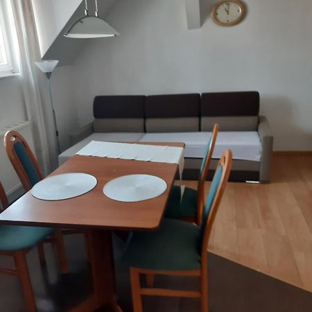 פולניסה-ז'דוז' Bialy Apartament מראה חיצוני תמונה