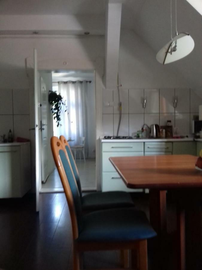פולניסה-ז'דוז' Bialy Apartament מראה חיצוני תמונה