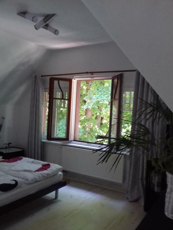 פולניסה-ז'דוז' Bialy Apartament מראה חיצוני תמונה